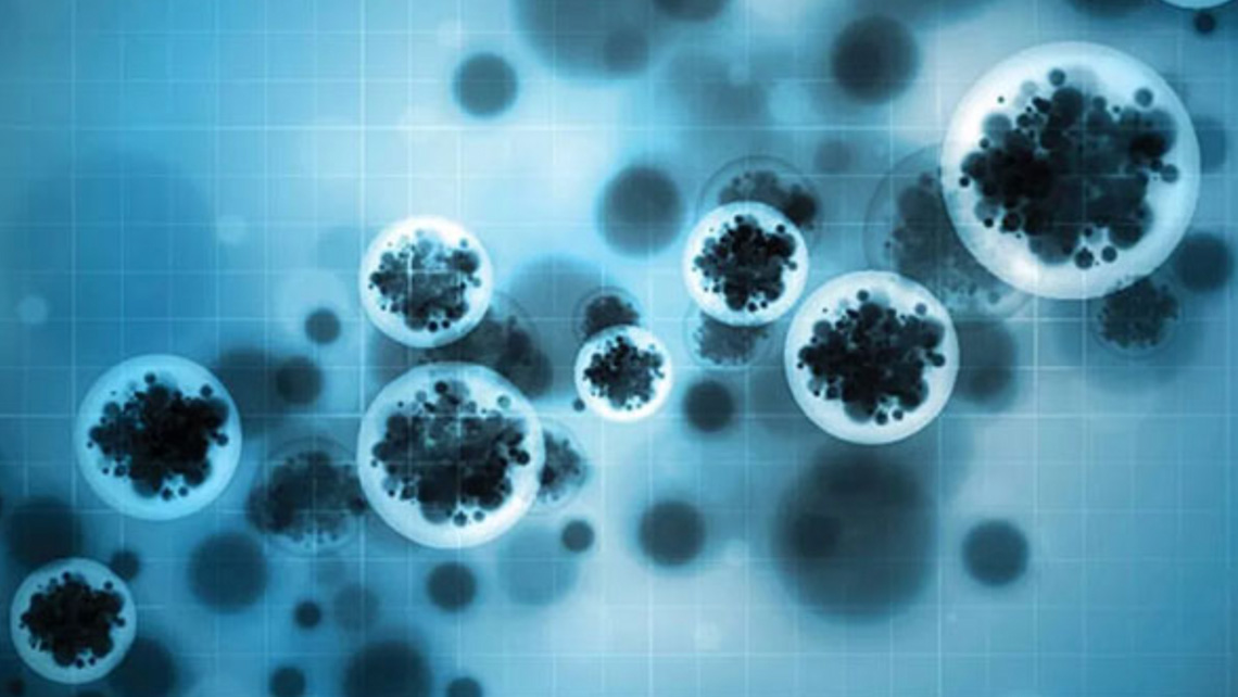 New Tuberculosis Vaccine Raises Hopes