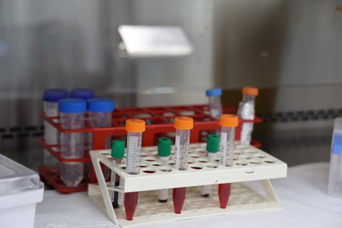 Clinical laboratory services